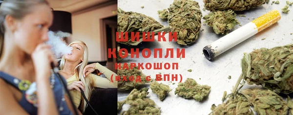 дживик Арсеньев