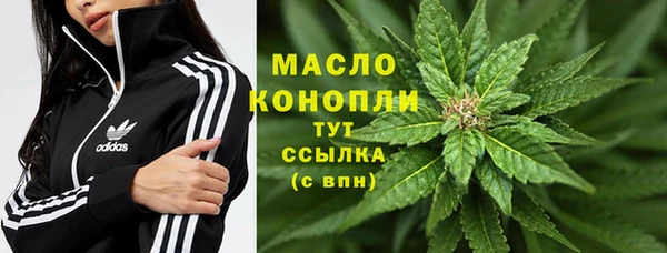ГАЛЛЮЦИНОГЕННЫЕ ГРИБЫ Вуктыл